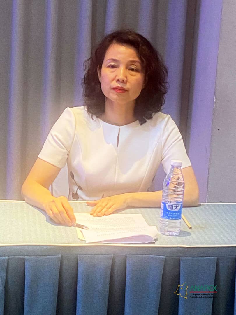 Chine: la ville de Jixi veut investir en RDC à travers l’ANAPEX