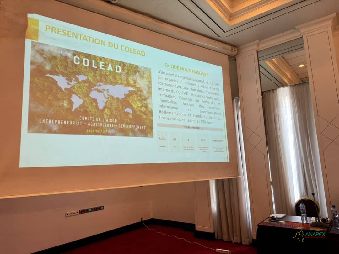 L’ANAPEX et le COLEAD lancent une formation stratégique pour faciliter l’accès aux marchés internationaux