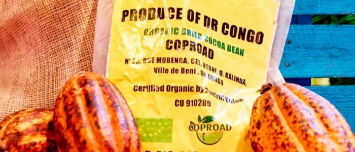 WhatsApp Image 2026-02-23 at 16.24.55