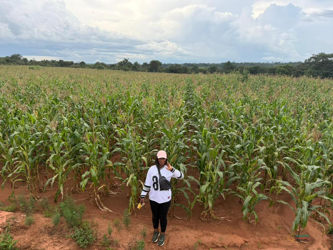 Lualaba : la délégation de l&rsquo;ANAPEX poursuit son marathon dans la ville de Kolwezi