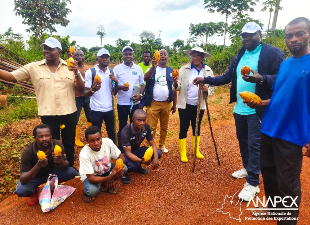 ANAPEX/Tshopo: à la découverte de la cacaoyère Nouria Agro Bussiness