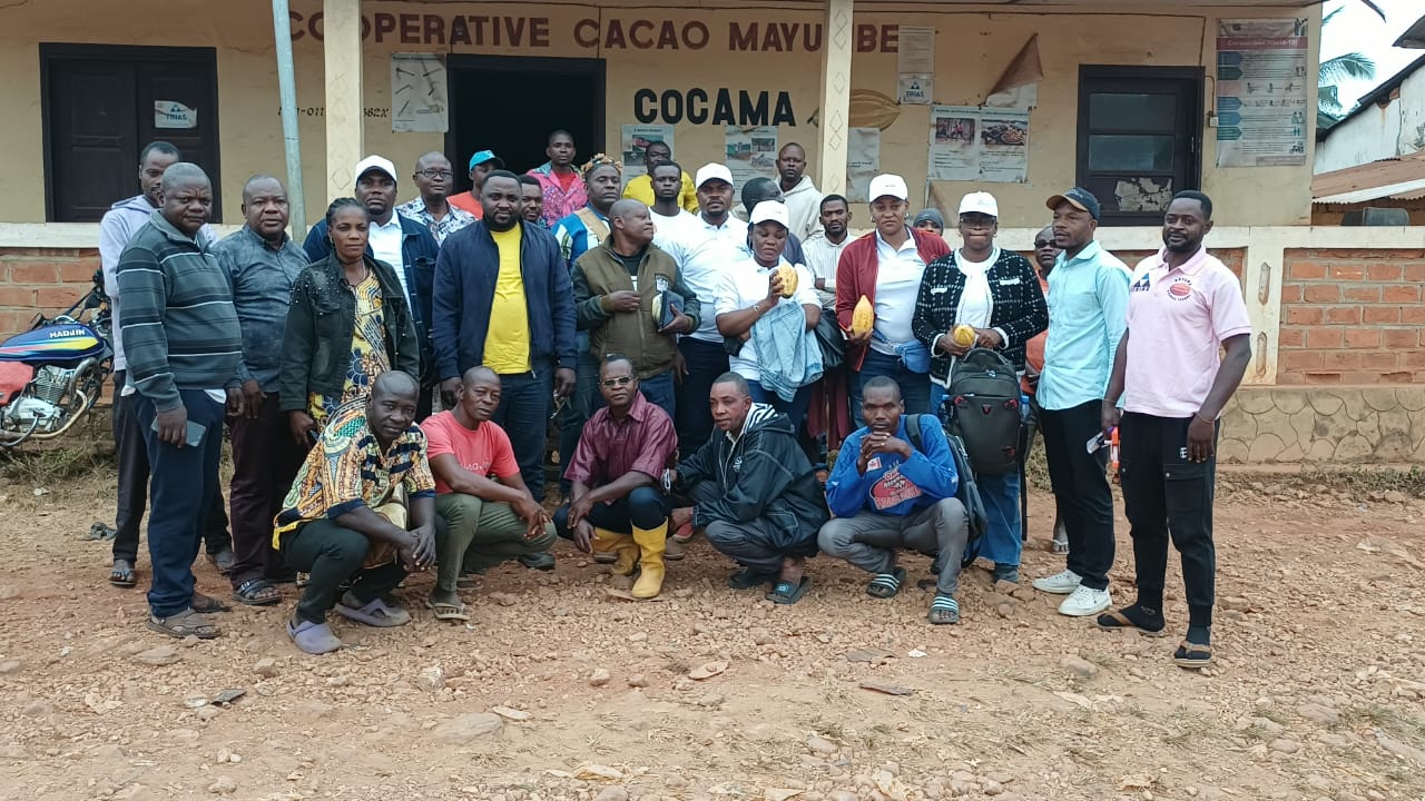 À Nganda Tsundi, l’ANAPEX s’enquiert des difficultés des coopératives de cacao (Carmedis, Fob, Agribioma, CCC, Ilorepa, RPA, Coprocam), après sa première visite auprès des acheteurs, et réaffirme sa volonté d’organiser durablement cette filière stratégique.